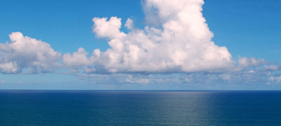 ocean_648