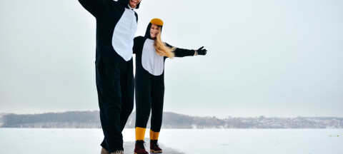 penguins
