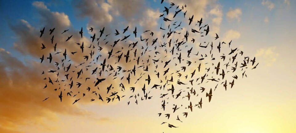 Cloud migration