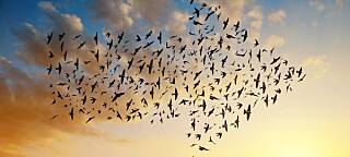 Cloud migration