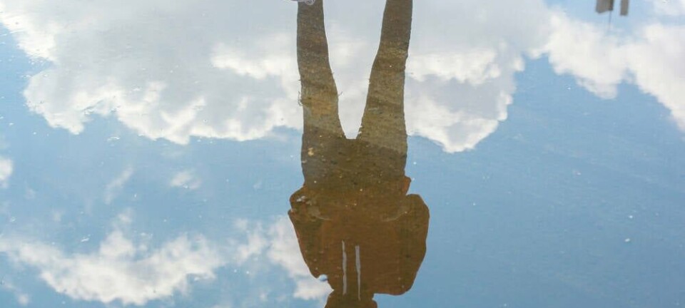 cloud split