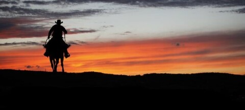 Cowboy silhouette on a horse during sunset