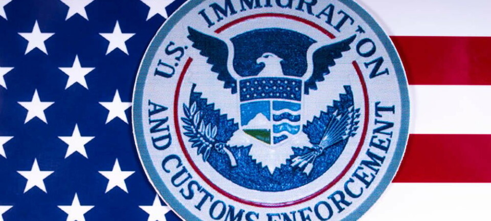 US ICE flag