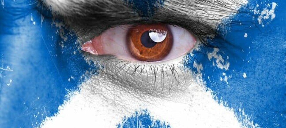 Angry man's eye peers from face painted with Scottish flag / st andrews cross
