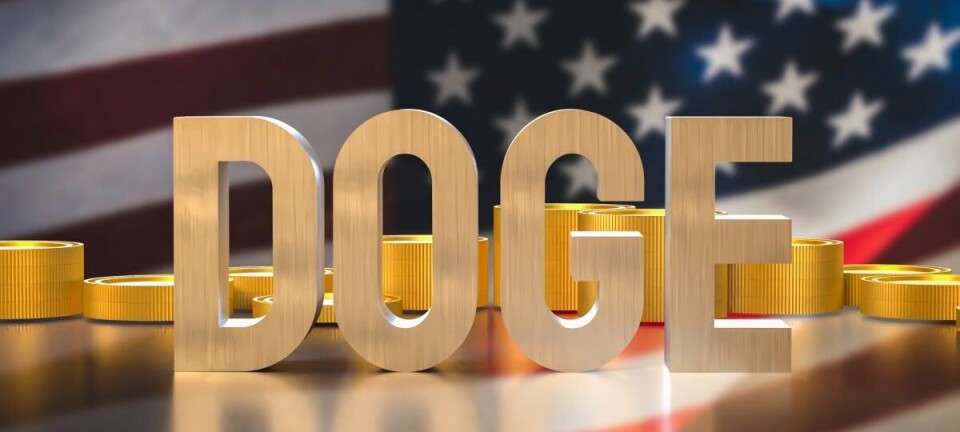 Department of Government Efficiency (DOGE)