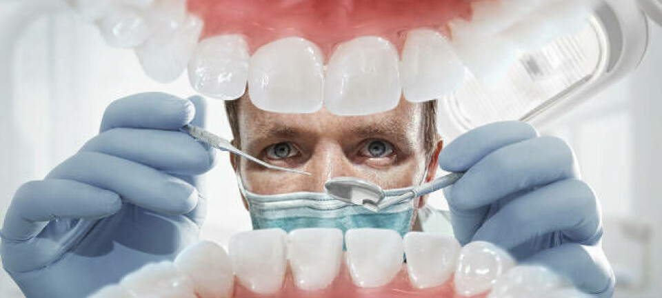 A dentist examining teeth