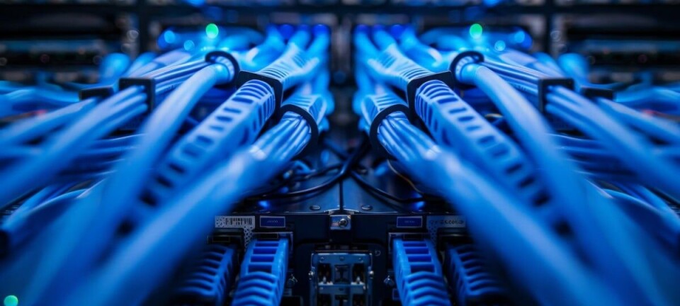 Network cables connected to a router