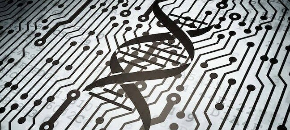 DNA circuit board