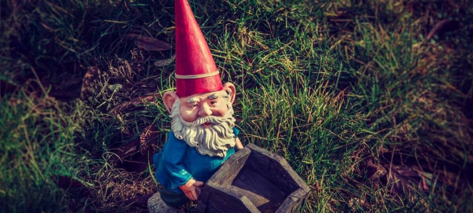 gnome
