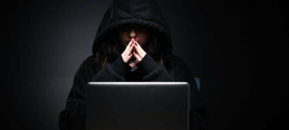 A hacker pondering at their laptop