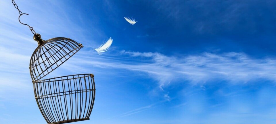 Escaping a birdcage in the clouds