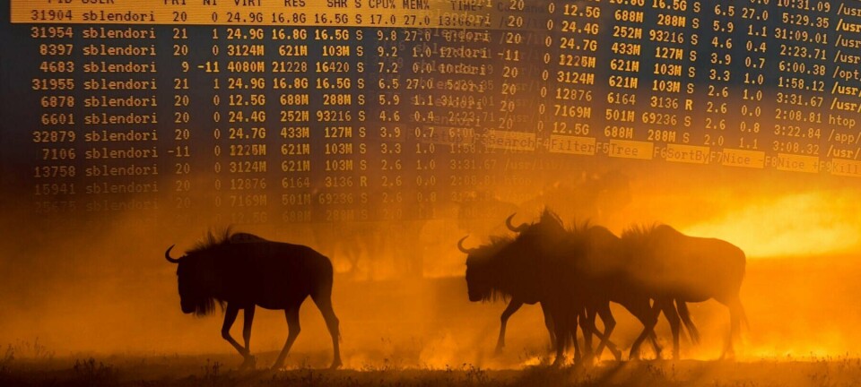 Illustration of some Gnu / wildebeest against orage VT100 terminals logged into Unix like systems