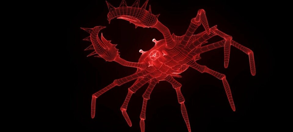 Wireframe crab