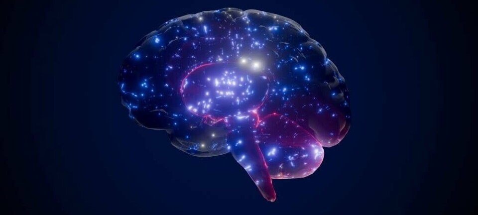 shutterstock brain