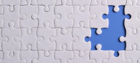 Puzzle missing pieces