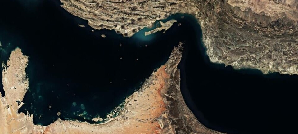 Satellite image of Strait of Hormuz. Pic credit: Arial Viewer / Shutterstock