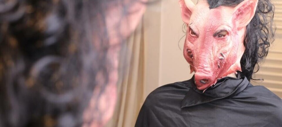 Ugly pig face in mirror