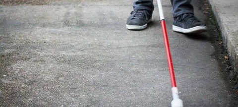 walking stick