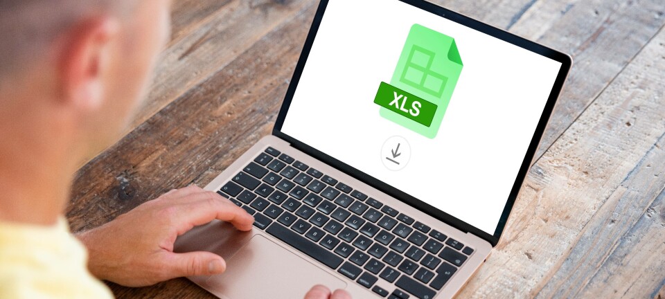 XLS File