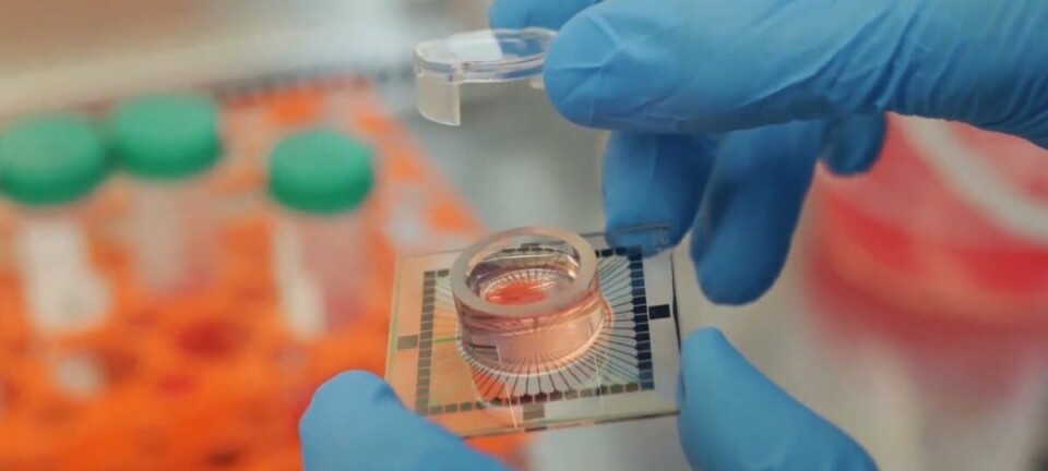 Cortical Labs' CL1 biological computer
