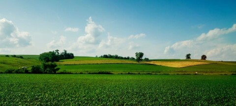 Rural Landscape in Late Spring, Holmes County, Ohio