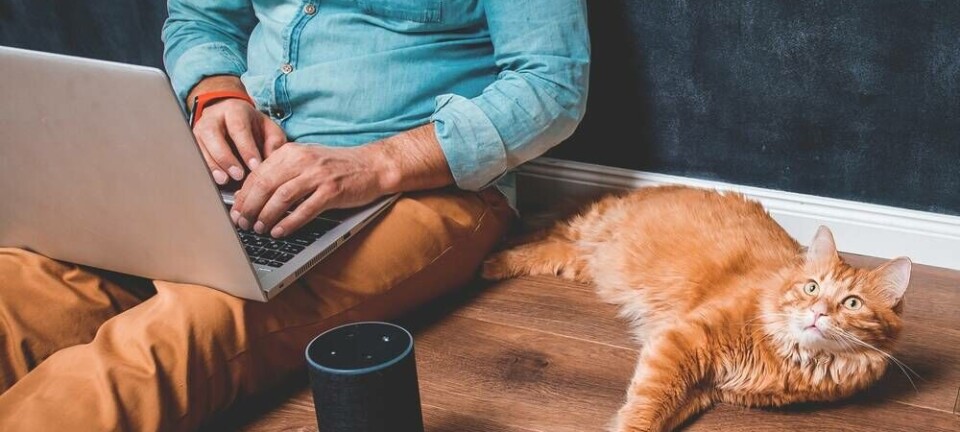 Plex is pulling the plug on its Alexa integration. pic: Sharomka/ Shutterstock