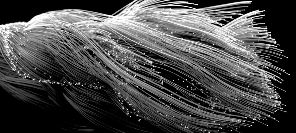 ab fiber optics wave