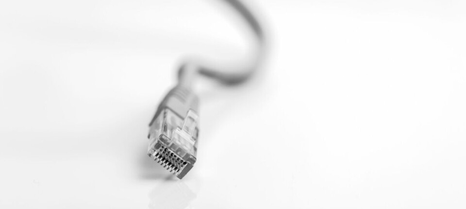 Close-up of a dangling Ethernet plug with a blurred cable on a white background.