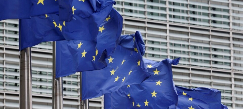 Blue European Union flags with yellow stars flutter in front of a modern glass office building.