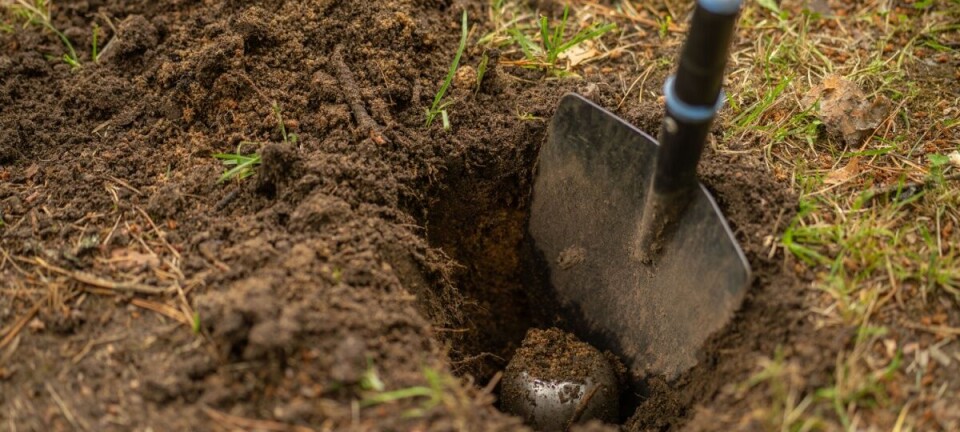 A buried time capsule and shovel.